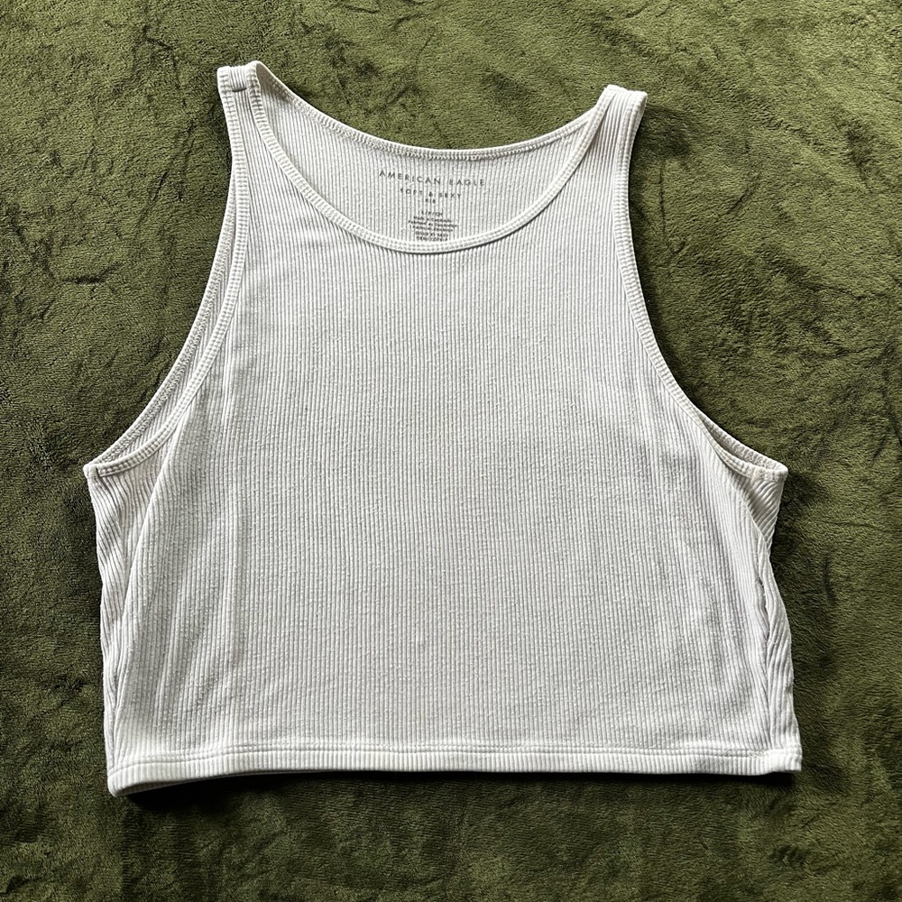American Eagle Outfitters White Fitted Crop Tank Top